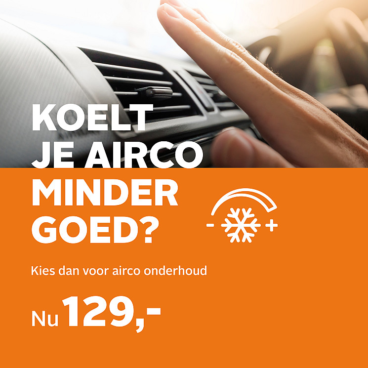 Carteam Auto Verdel