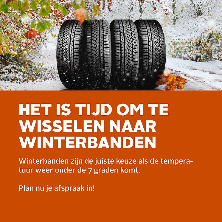 Carteam Auto Verdel